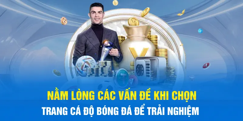 Nằm lòng các vấn đề khi chọn trang Cá Độ Bóng Đá để trải nghiệm Nằm lòng các vấn đề khi chọn trang Cá Độ Bóng Đá để trải nghiệm