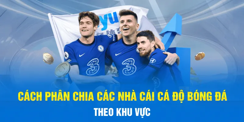 Cách phân chia các nhà cái Cá Độ Bóng Đá theo khu vực Cách phân chia các nhà cái Cá Độ Bóng Đá theo khu vực