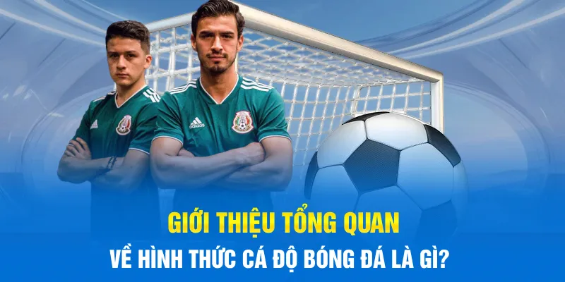 Giới thiệu tổng quan về hình thức Cá Độ Bóng Đá là gì?