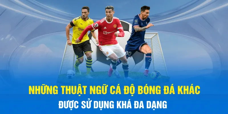 Những thuật ngữ cá độ bóng đá khác được sử dụng khá đa dạng