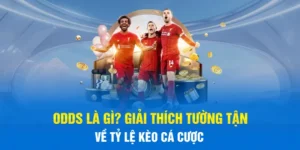 Odds Là Gì? Giải Thích Tường Tận Về Tỷ Lệ Kèo Cá Cược
