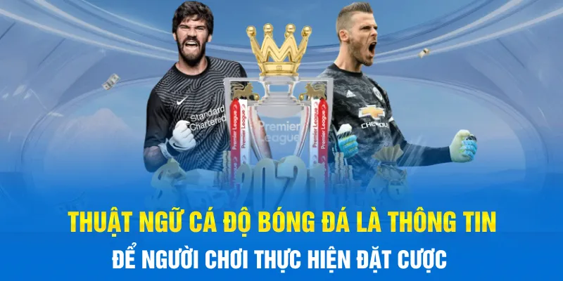 Thuật ngữ cá độ bóng đá là thông tin để người chơi thực hiện đặt cược