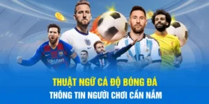Thuật Ngữ Cá Độ Bóng Đá