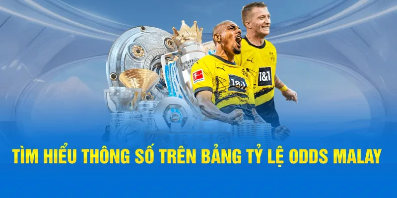 Tìm hiểu thông số trên bảng tỷ lệ odds Malay