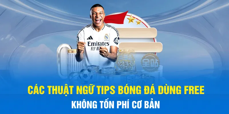 Tips bóng đá dùng free không tốn phí