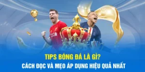 Tips Bóng Đá Là Gì? Cách Đọc Và Mẹo Áp Dụng Hiệu Quả Nhất